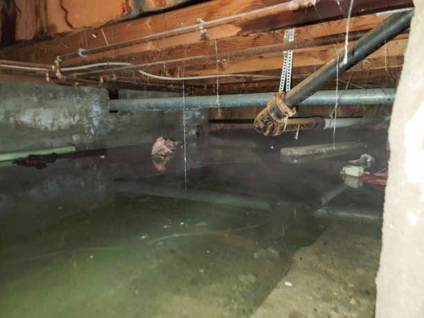 Best Water damage cleanup near me  in Lancaster, PA