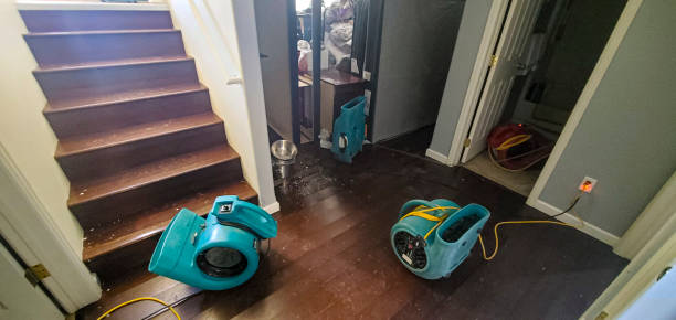 Best Carpet water damage restoration  in Lancaster, PA