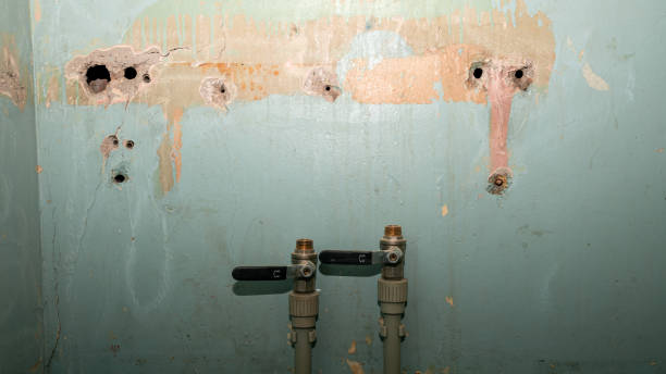 Best Water damage contractors near me  in Lancaster, PA