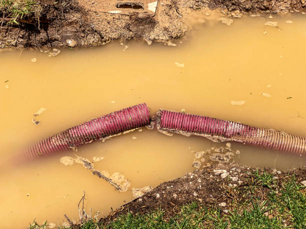 Best Water damage restoration specialists  in Lancaster, PA